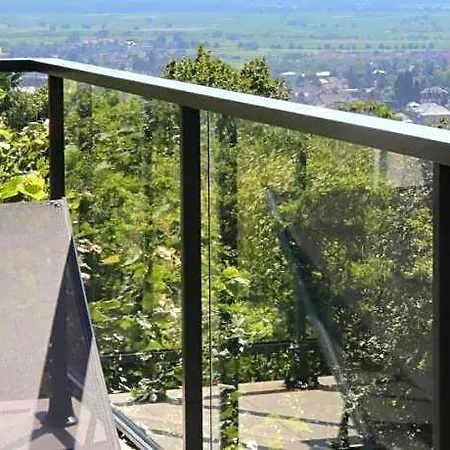 Terrasses D'alsace فندق 4*