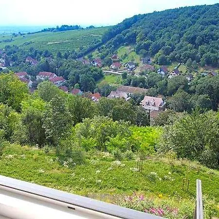 فندق Terrasses D'alsace 4*