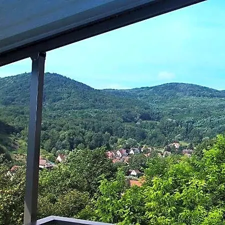 Terrasses D'alsace فندق 4*