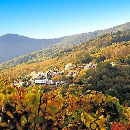 Terrasses D'alsace 4*