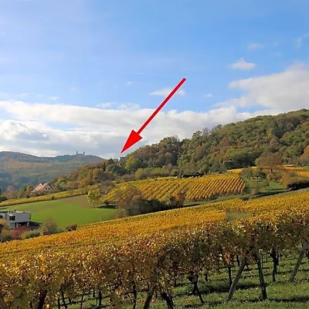 Terrasses D'alsace
