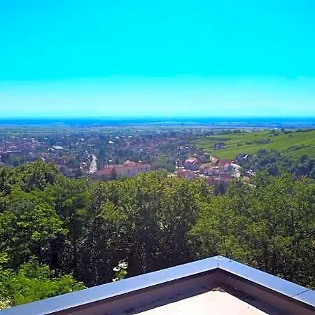 Terrasses D'alsace Hotel