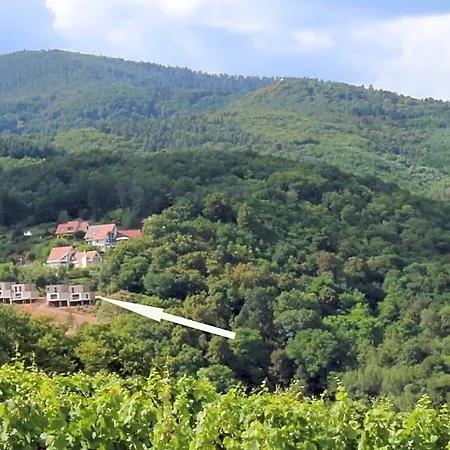 Terrasses D'alsace فندق