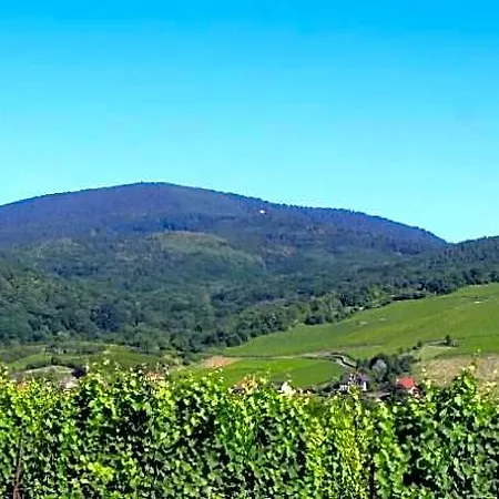 Terrasses D'alsace 4*