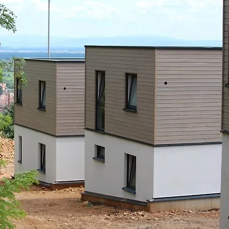 فندق Terrasses D'alsace 4*