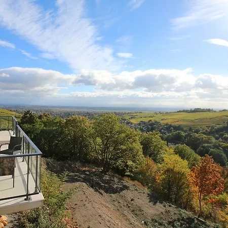 فندق Terrasses D'alsace 4*