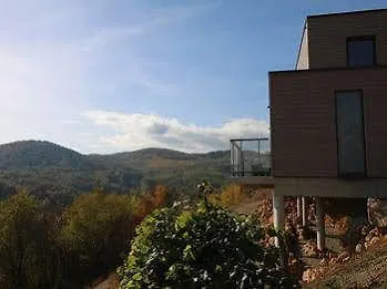 فندق Terrasses D'alsace 4*