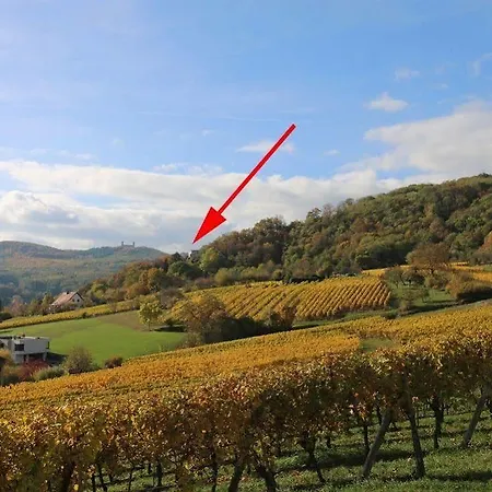 Terrasses D'alsace فندق 4*
