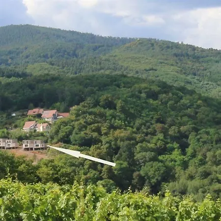 Terrasses D'alsace Hotel