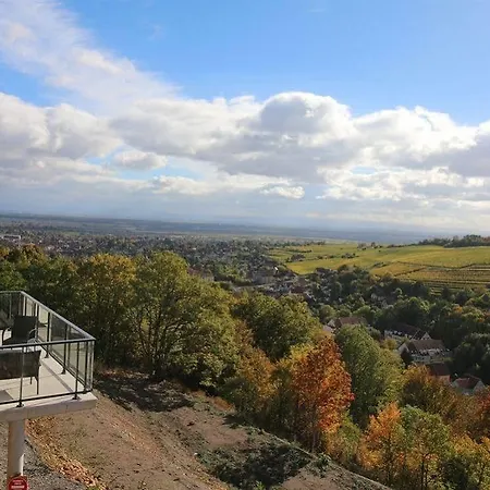 فندق Terrasses D'alsace 4*