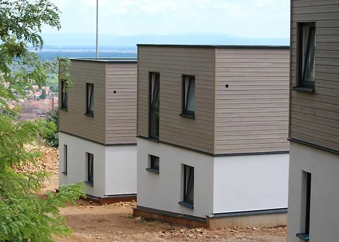 ホテル Terrasses D'alsace 4*