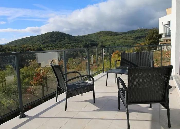 Terrasses D'alsace Hotel 4*