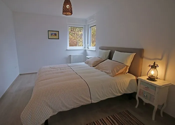 Hotel Terrasses D'alsace 4*
