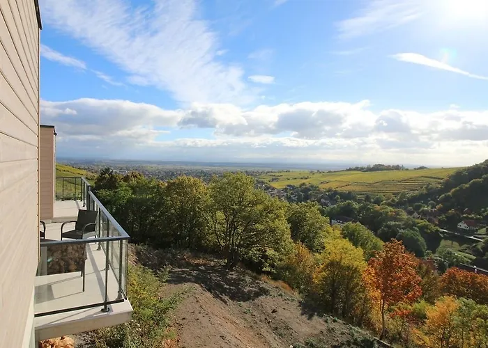 Hotel Terrasses D'alsace 4*